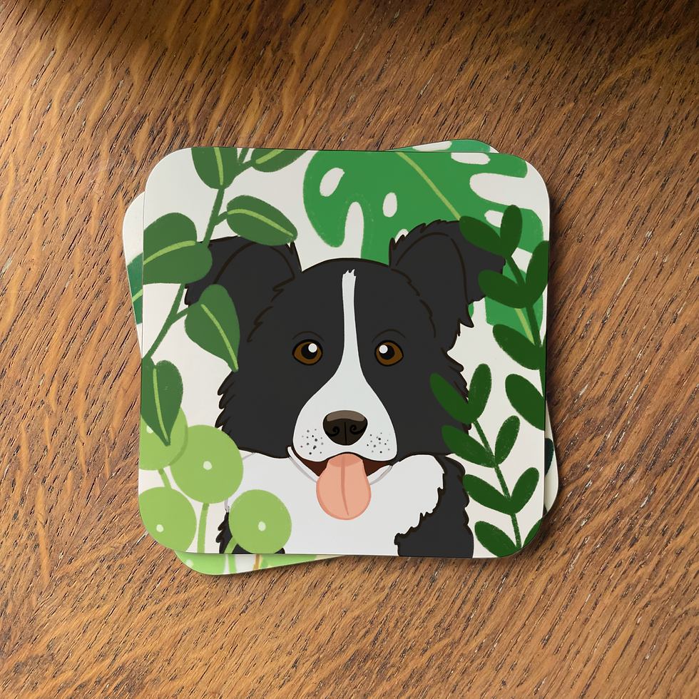 Thumbnail: Black and White Border Collie Coaster