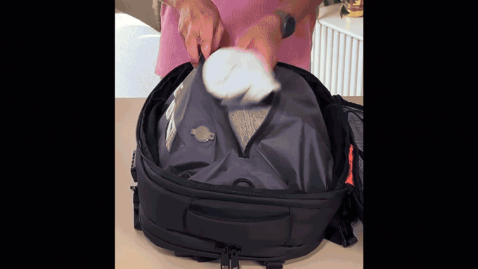 detail_68554_17842831232714.gif