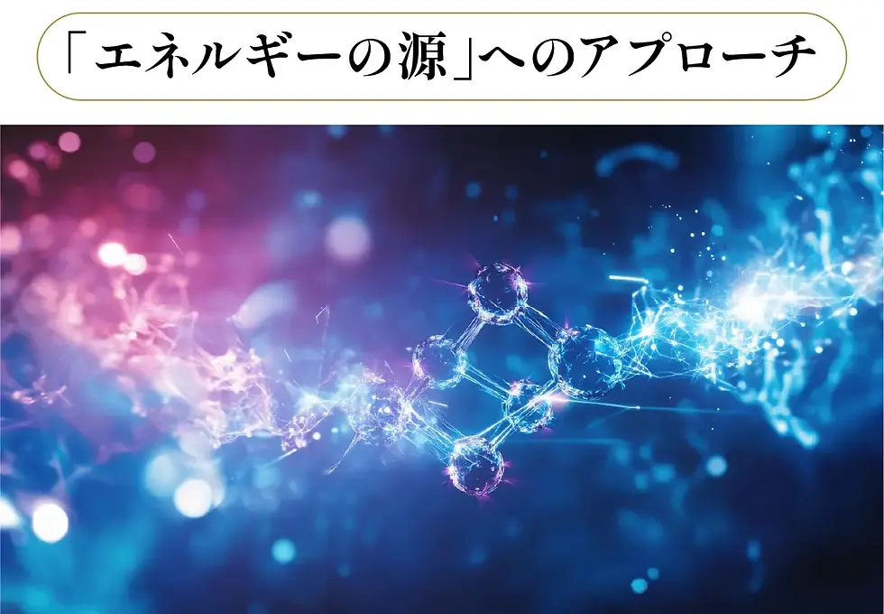 13.webp
