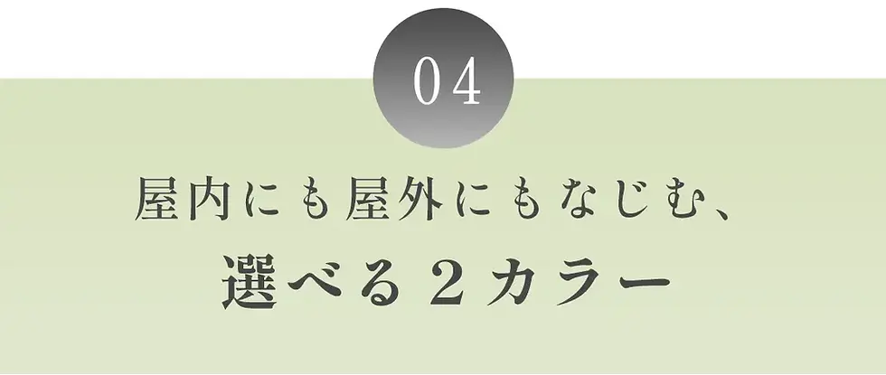 08.webp