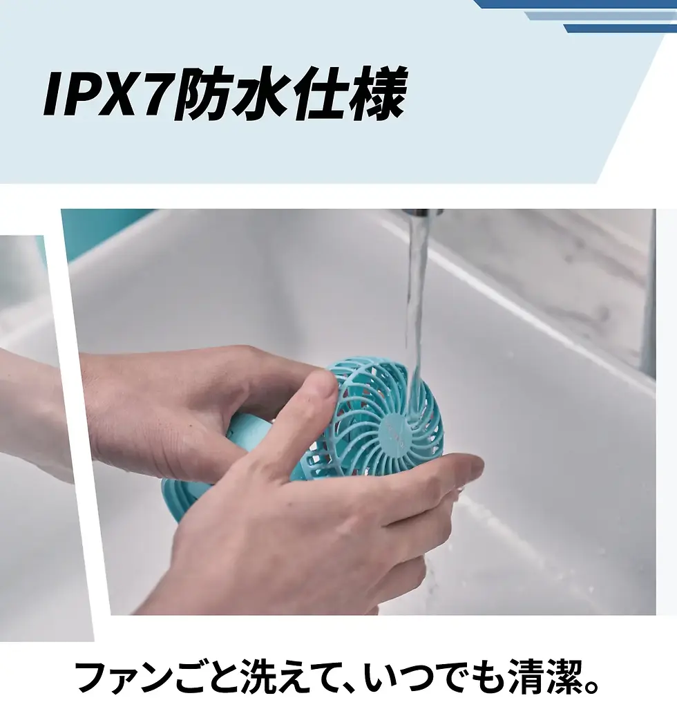 16.webp