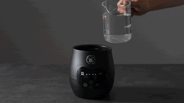 02.gif