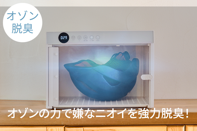 06-1_03.gif