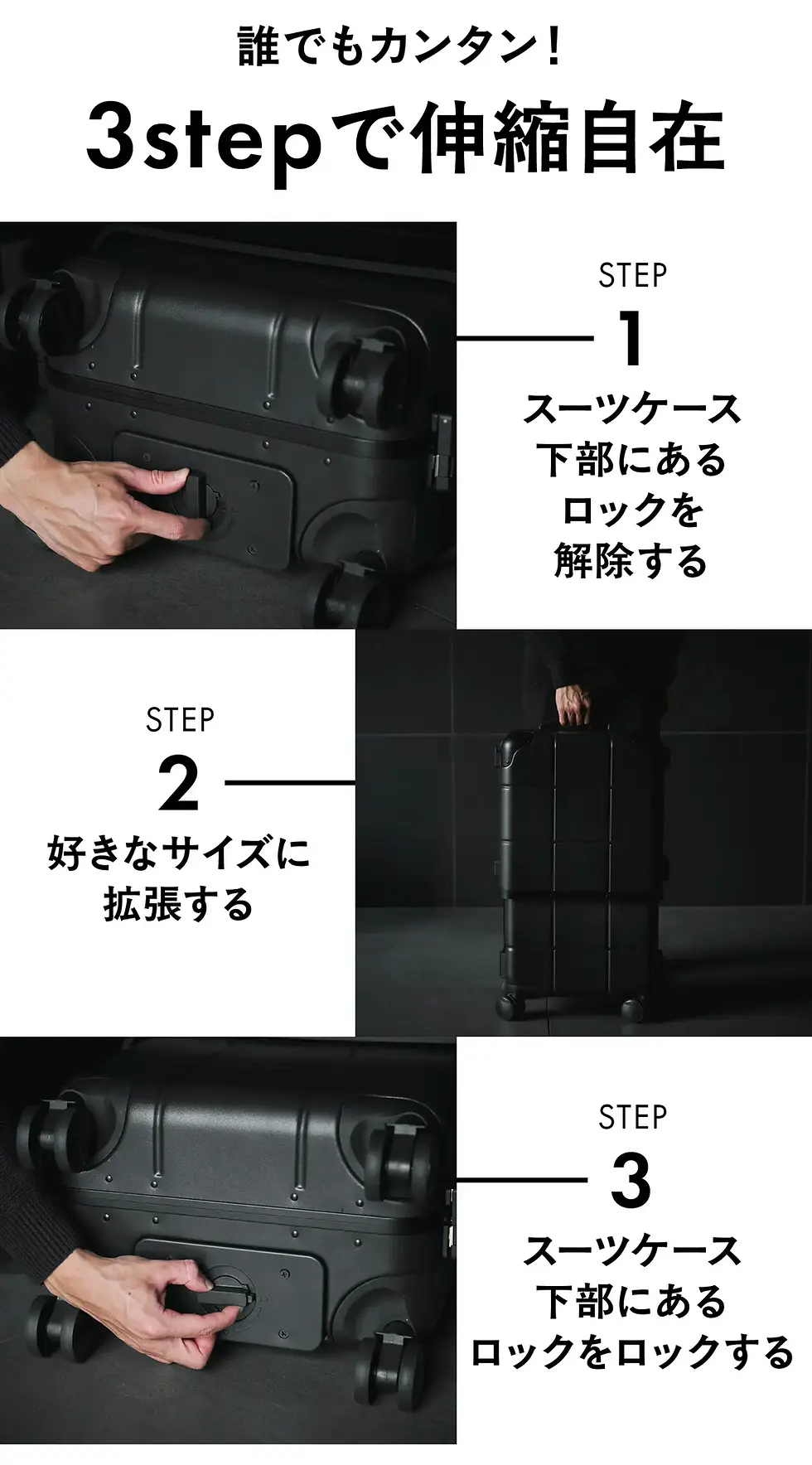 17.webp