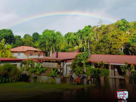 San Lorenzo: café de especialidad, vistas a las montañas y todo el sabor de la ciudad samaritana