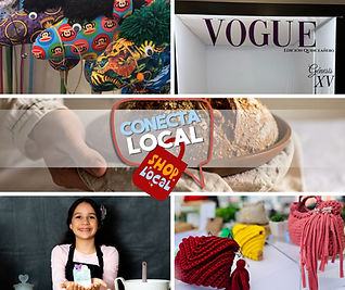 Segmento Conecta Local