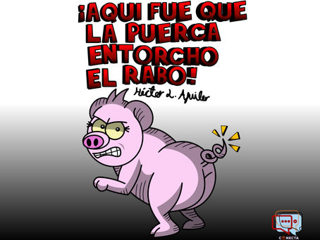 ¡Aquí fue que la puerca entorchó el rabo!