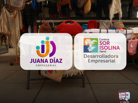 Cuando el municipio apuesta al emprendedor: Juana Díaz Empresarial y la Incubadora SURCOS como modelos de acción en el sur