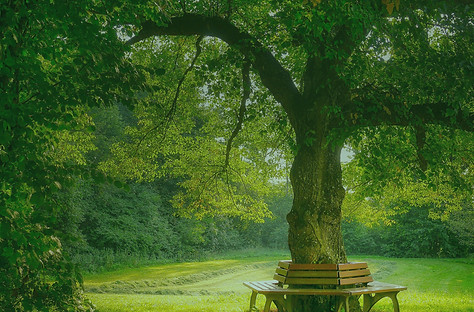 bank-4856829_1920_edited_edited_edited_e