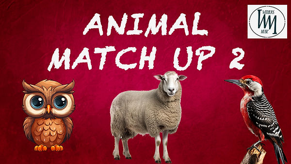 Animal Match Up 2.jpg
