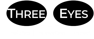 Three Eyes Color Logo x2.png