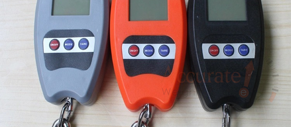 Light duty OCS crane weighing scales series in store for sale Mbale, Uganda 