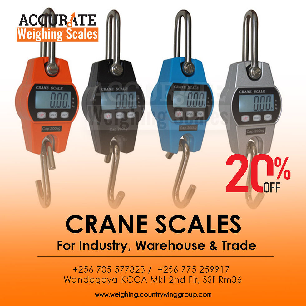 High accuracy, compact digital hanging scales