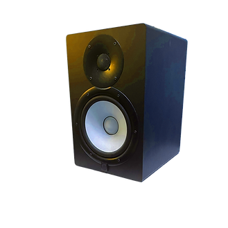 Johnny Lion's Speakers