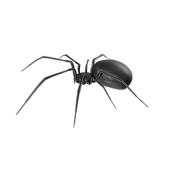 vecteezy_spider-isolated-on-transparent-background_20954989.png