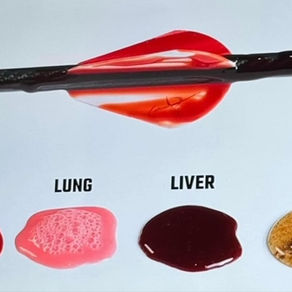 Archery Season and The Back Side of the Full Moon: Get Ready to Land a Trophy in Texas