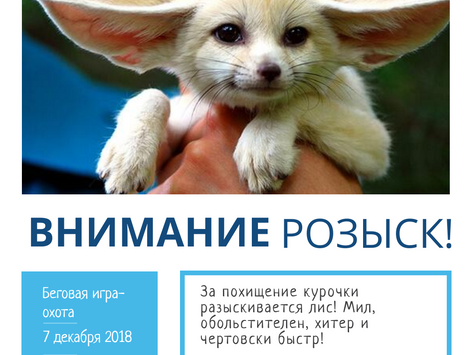 2018 12 07 Охота на лиса - беговая игра