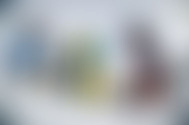 Alpika Alpindustria skimo race 26-28 февраля 2021 года 