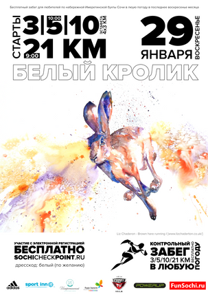 Контрольный забег - январь