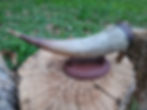 Thumbnail: Powder horn