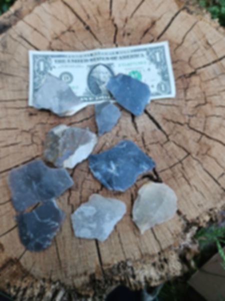 Flint shards
