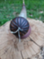 Thumbnail: Powder horn