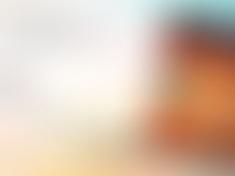 Book Review - The Invention of Wings by Sue Monk Kidd