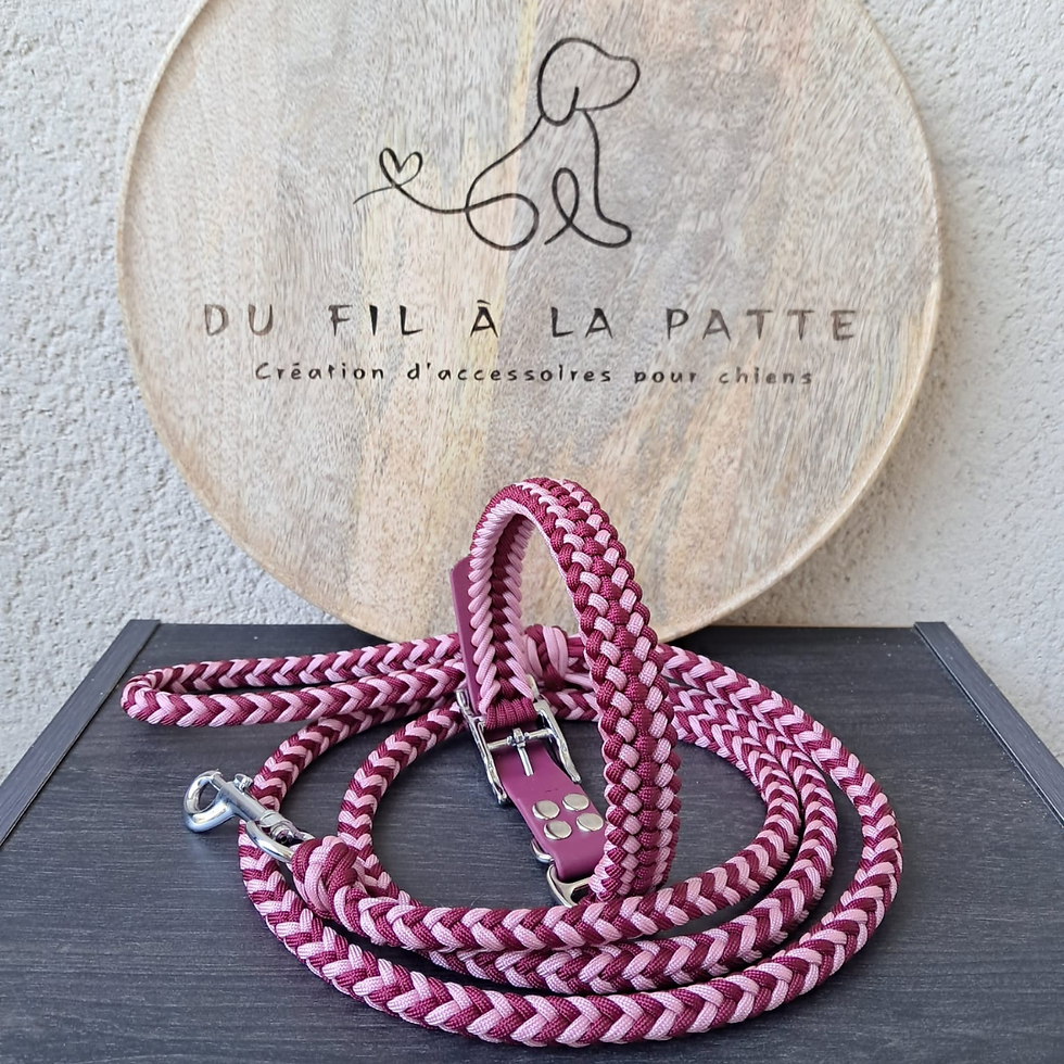 Miniature : Modèle UNO