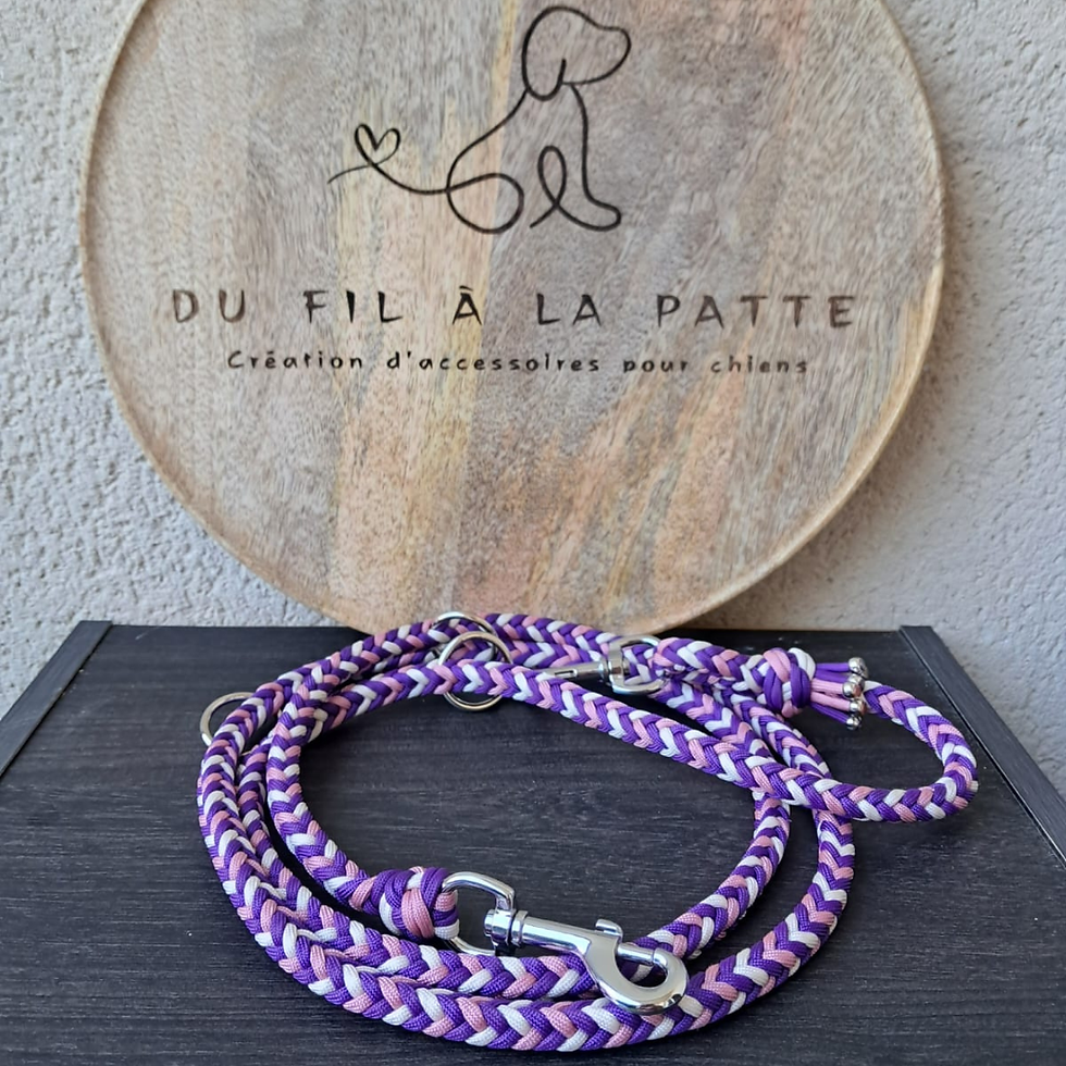 Miniature : Nos Laisses