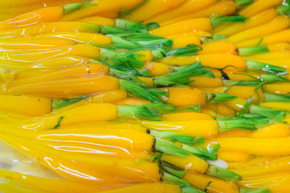 Photo Entreprise -20.jpg