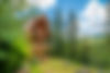 shutterstock_1795398331.jpg