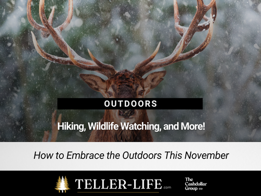 How to Embrace the Outdoors This November: Hiking, Wildlife Watching, and More!