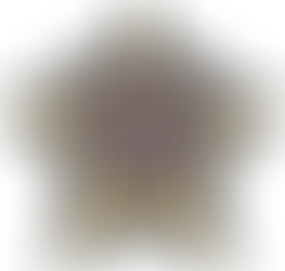 Beyond the Pin: Why FlexBadge is Revolutionizing the Tactical UniformThe Evolution of the Identity