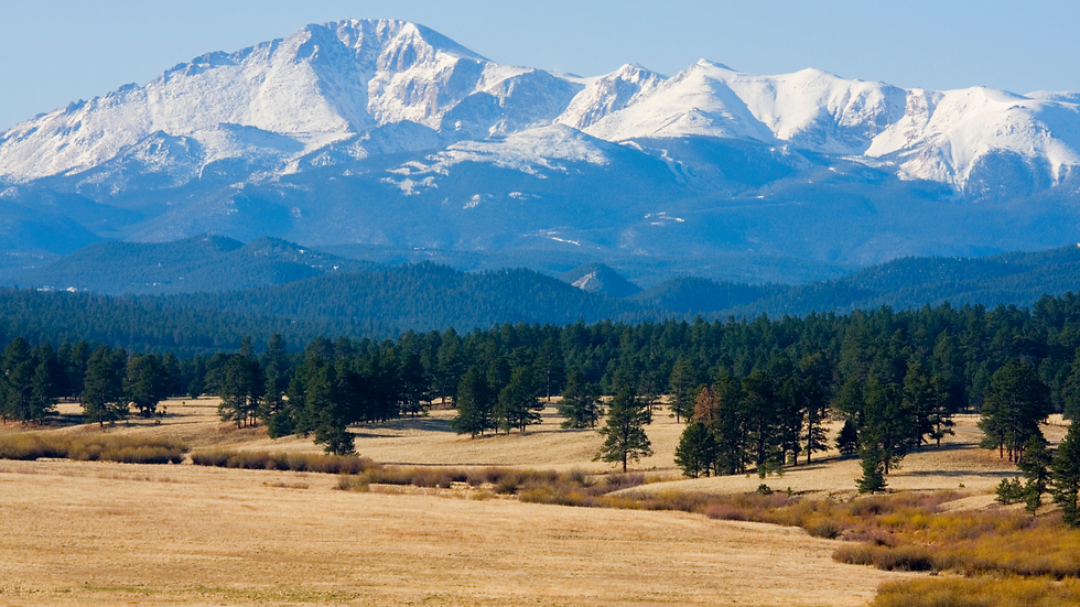 Pikes Peak Coldwell Banker 1st Choice .png