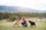 Dog trainer in Monument using rewards to teach good behavior.