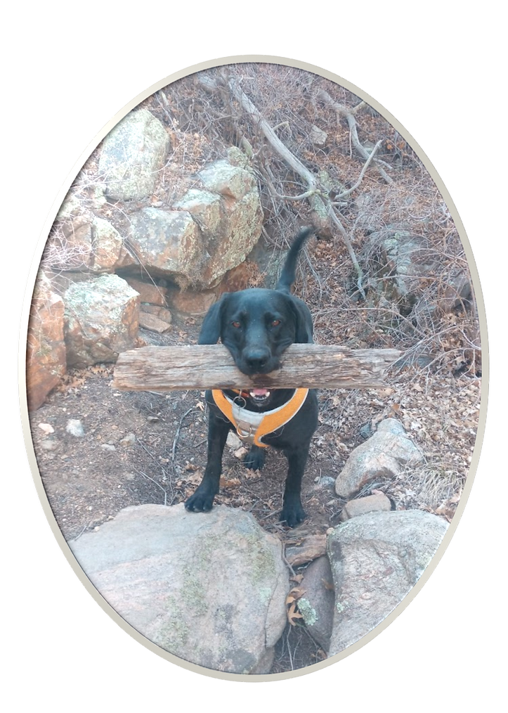 Chaela (7).png