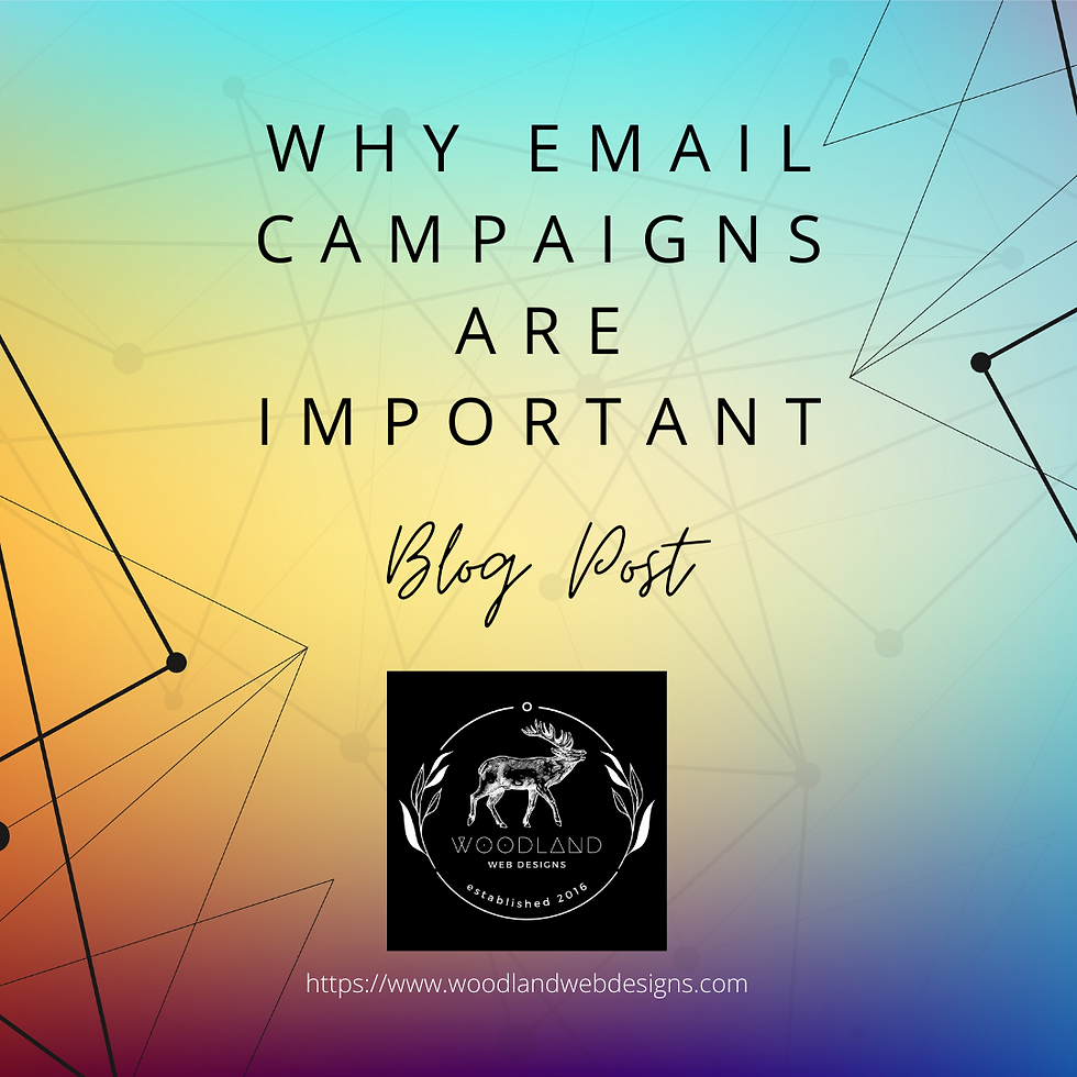 Why Email Campaigns Are Important & How to Execute Them Like A Pro!