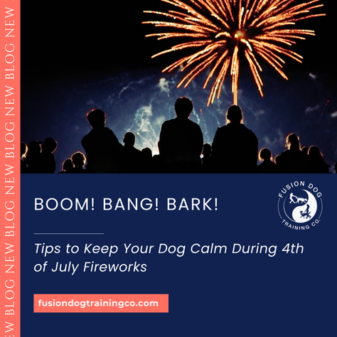 Tips to Keep Your Dog Calm During 4th of July Fireworks