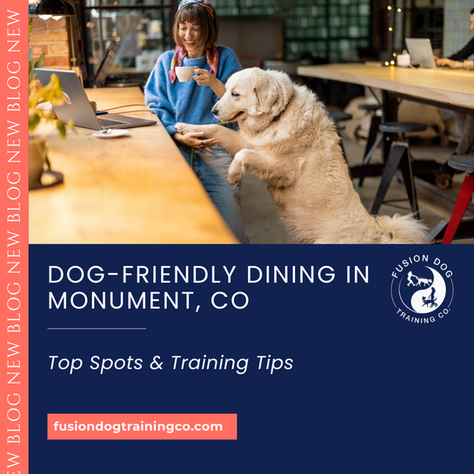 🐾 Dog-Friendly Dining in Monument, CO: Top Spots & Training Tips