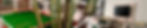 banner-div-3.jpg