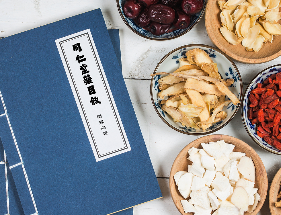 南京同仁堂藥目敘
