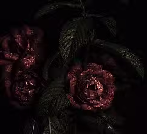 Flowers.avif