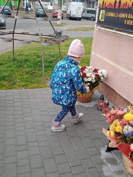 ромашка 2.jpeg