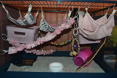 DSC_0031.JPG
