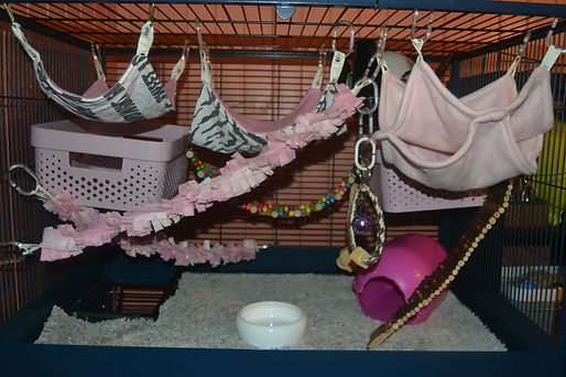DSC_0031.JPG