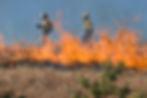 Wildfires