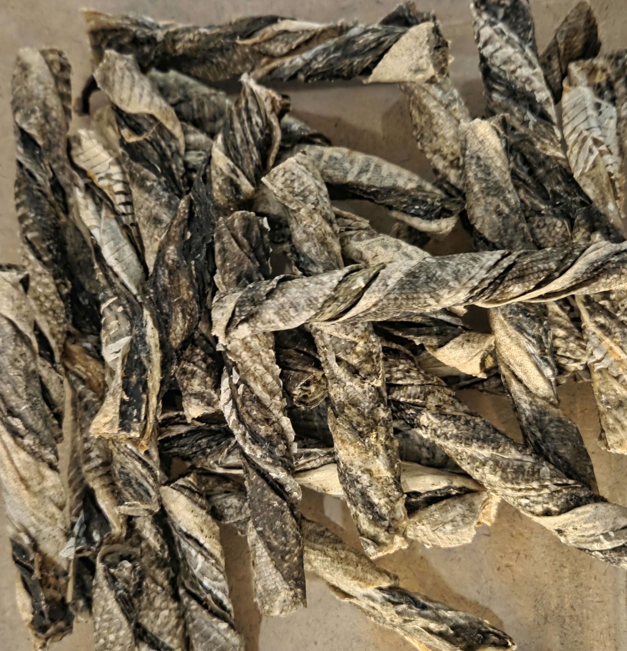 Fish Skin Twists