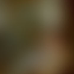 Rencontre avec Romane Lafore : réinterpréter le monde à l’aune de soi-même