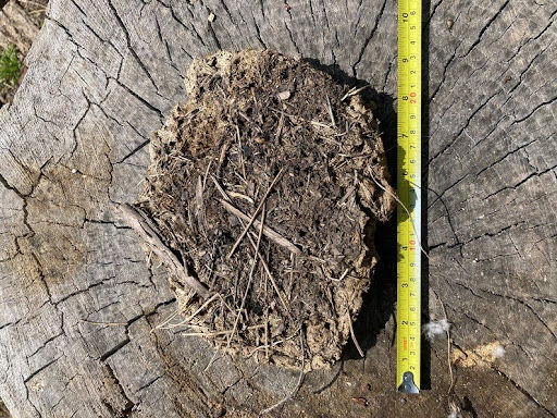Thumbnail: Organic Cow Manure - Sun dried