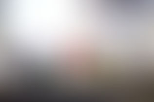 Plasticity Forum 2013 Hong Kong